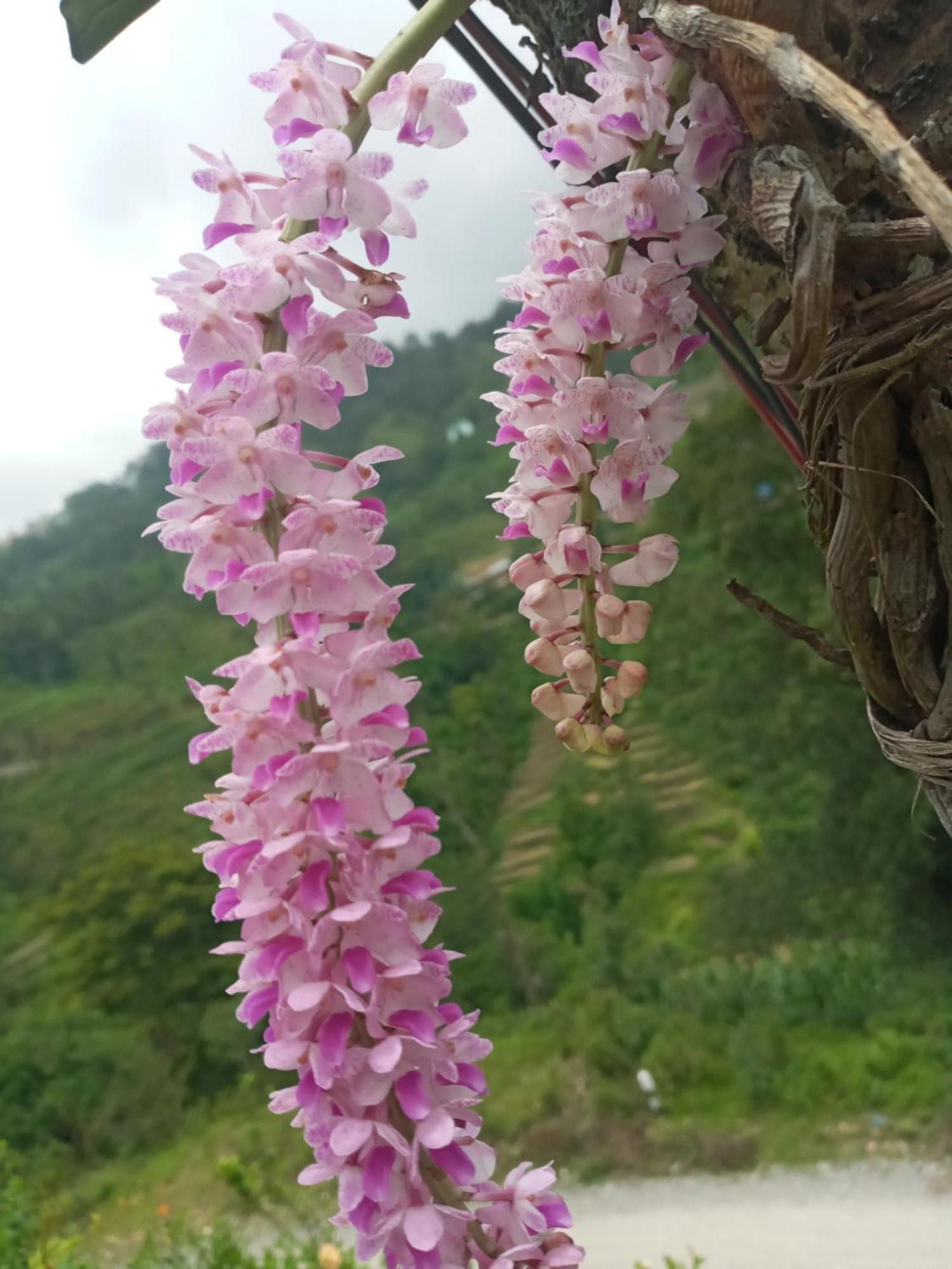 Unique Point Home Stay Nagarkot Exterior photo